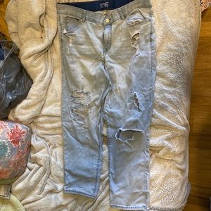 Terra & Sky ripped boyfriend jeans. Size 16w